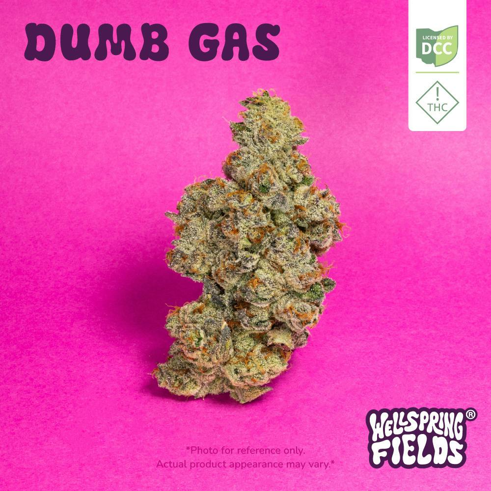 Dumb Gas - 2.83g Whole Flower