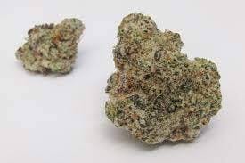 Gold Shelf - Scotch Soda (H)