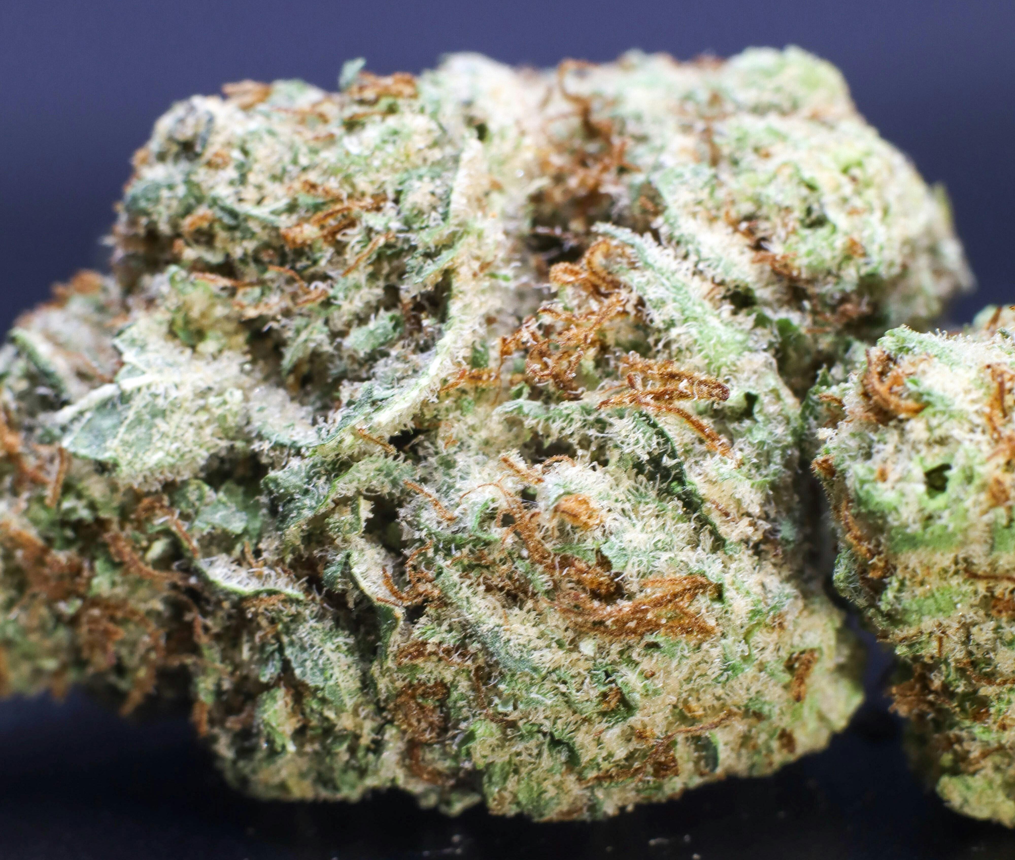Platinum Shelf - Tropicana Cookies (S)