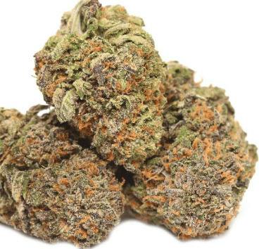 Silver Shelf - Diesel Dawg (S)