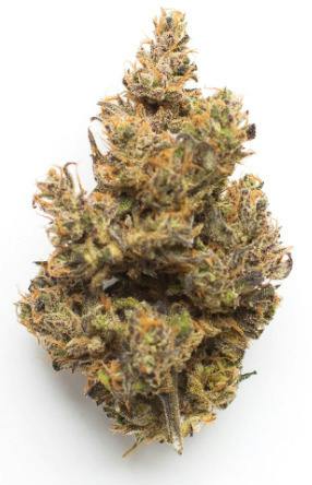 Platinum Shelf - Jungle Pie (H)
