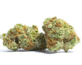 Platinum Shelf - Papaya Pearls (I)