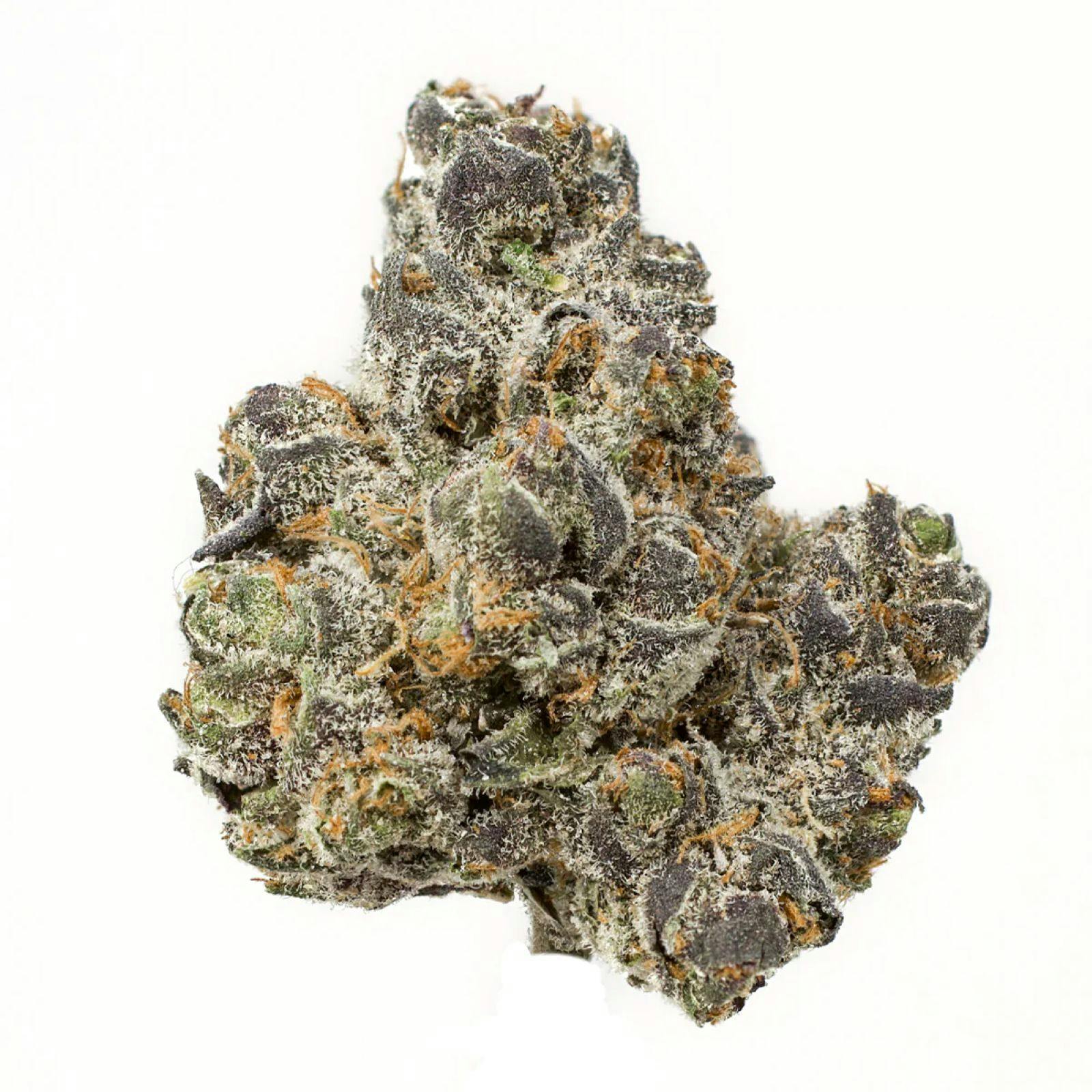 Gold Shelf - Apple Fritter (H) cannabis product