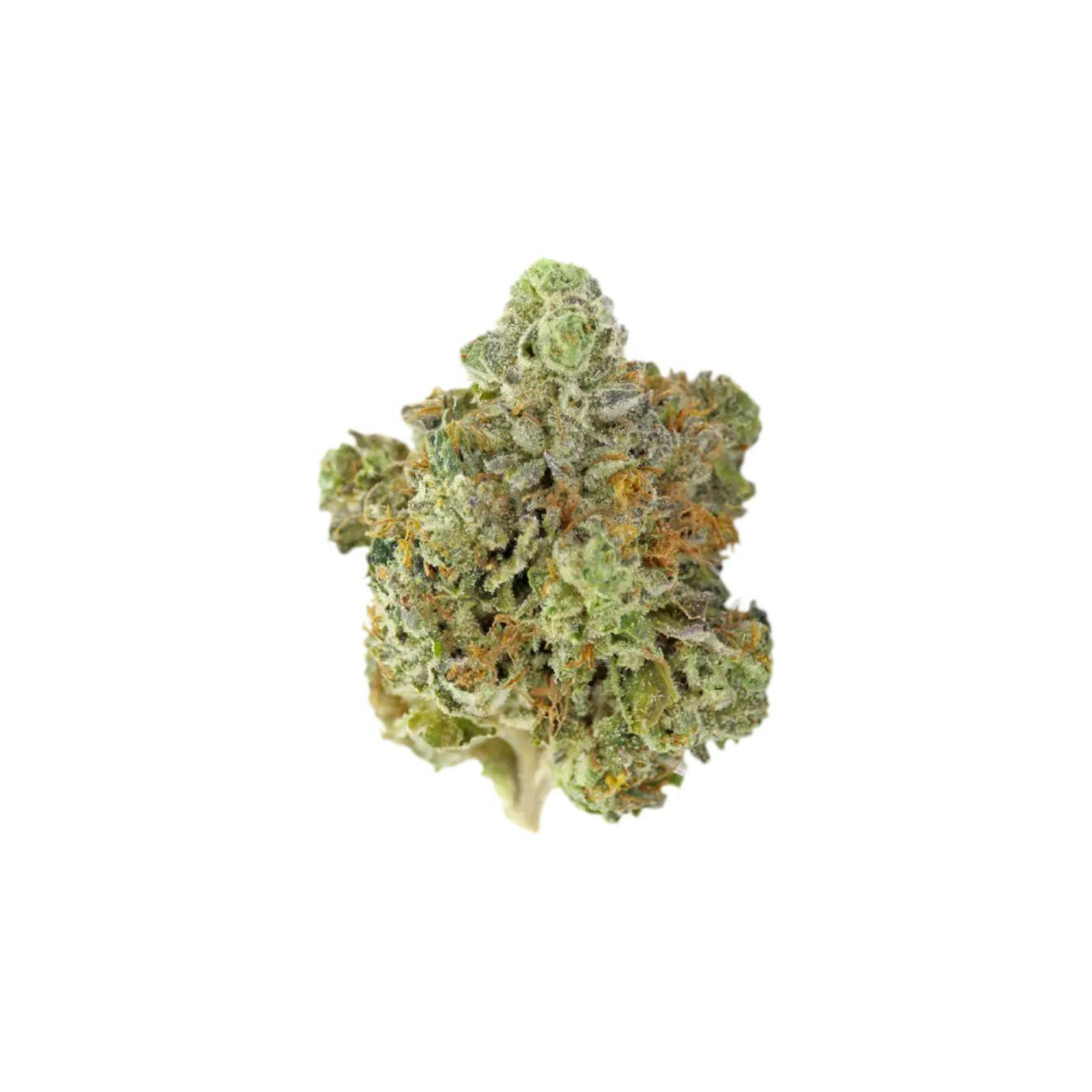 Silver Shelf - Master Mints (I)
