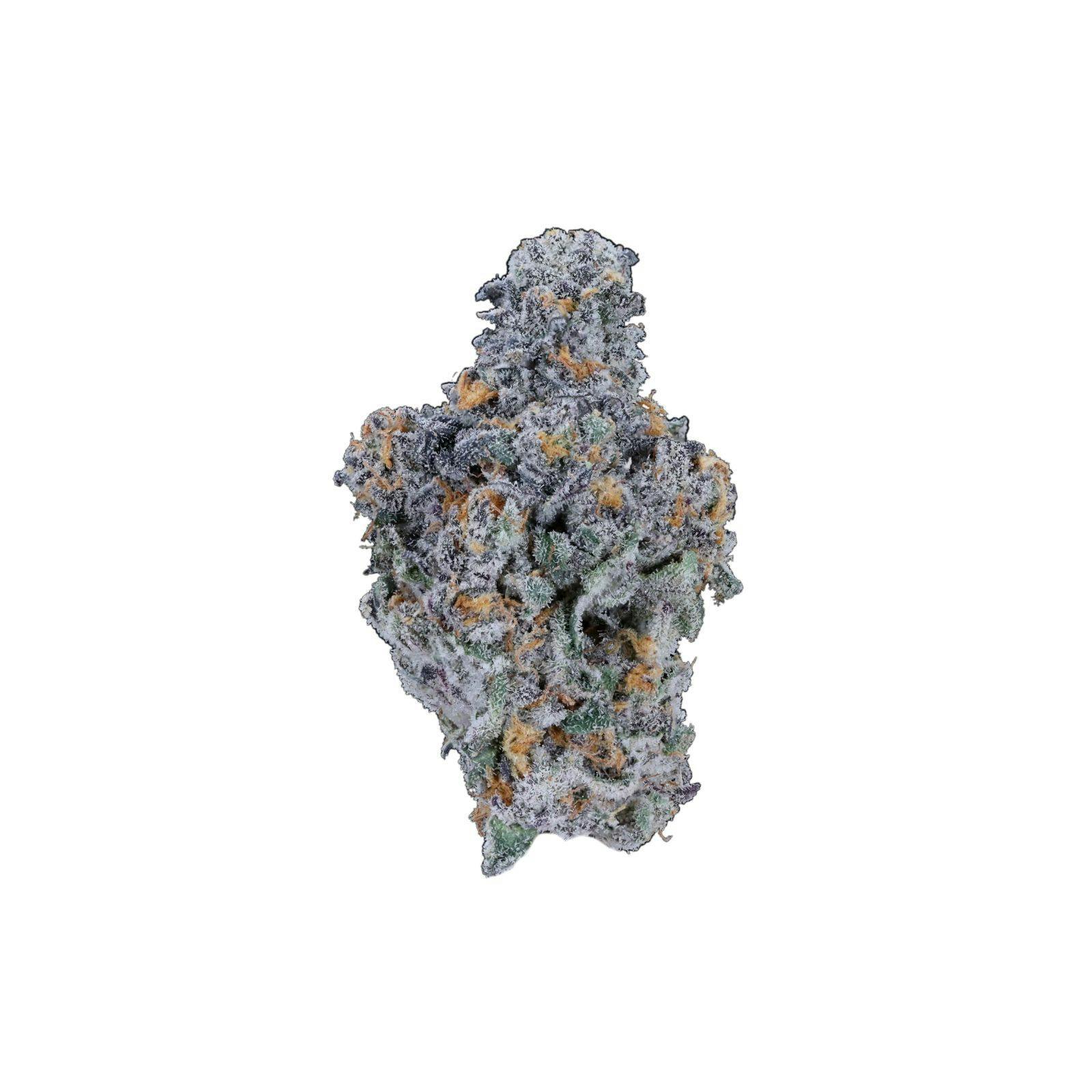 Platinum Shelf - Sherbaccio (S)