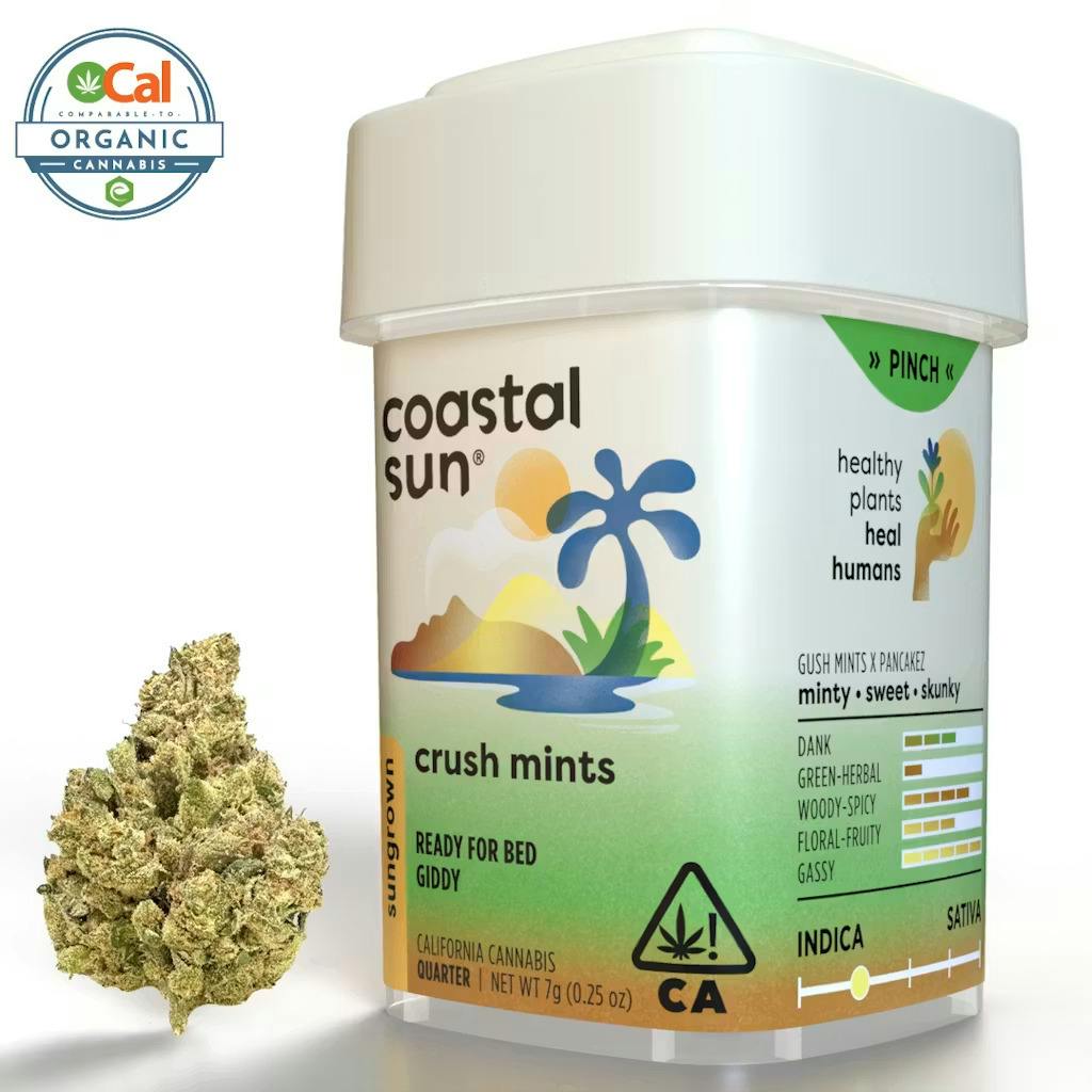 Coastal Sun: Amaretto Mints - Ocal