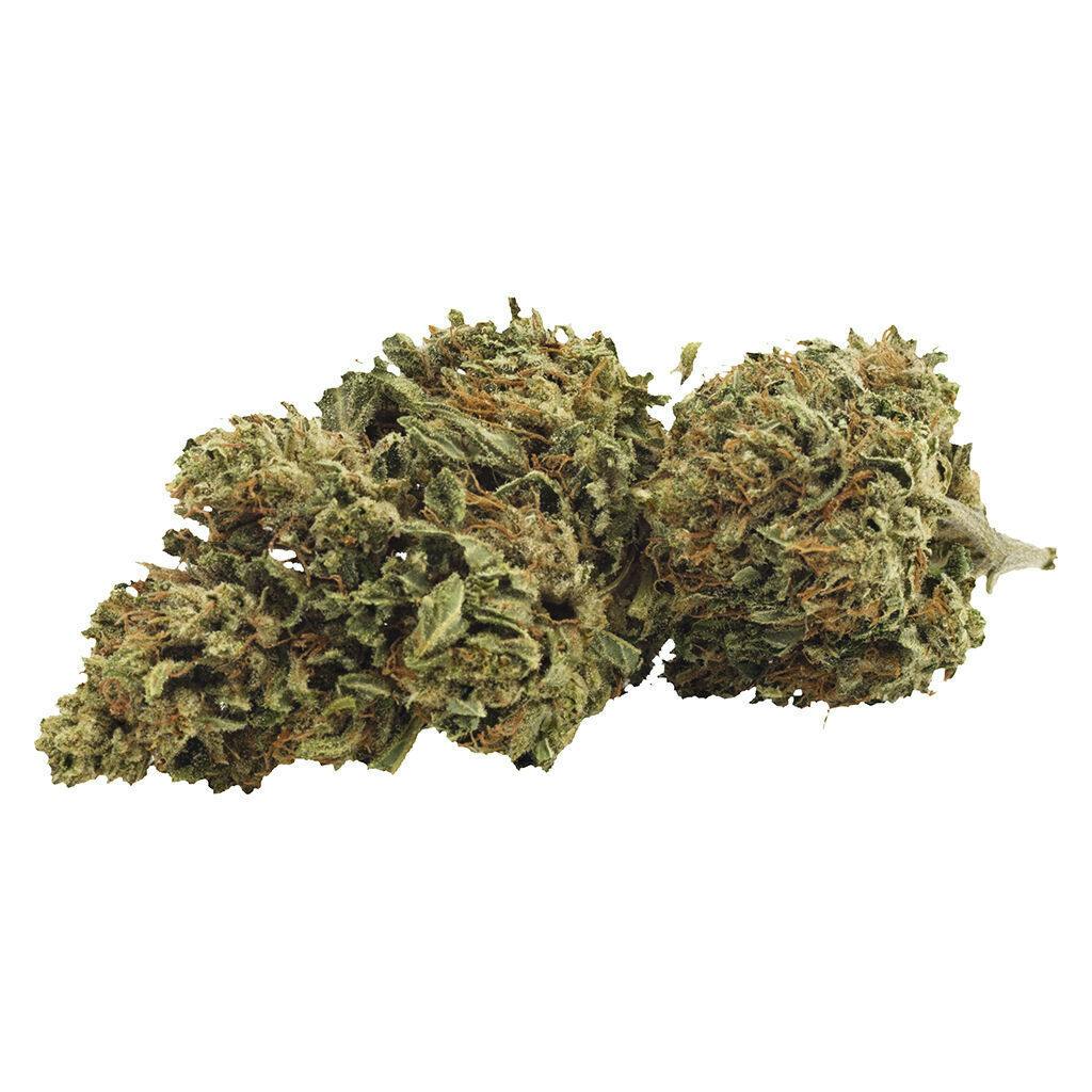Grown Here Farms - Day Dreamin' Infused CBD Flower - Indica - 3.5g