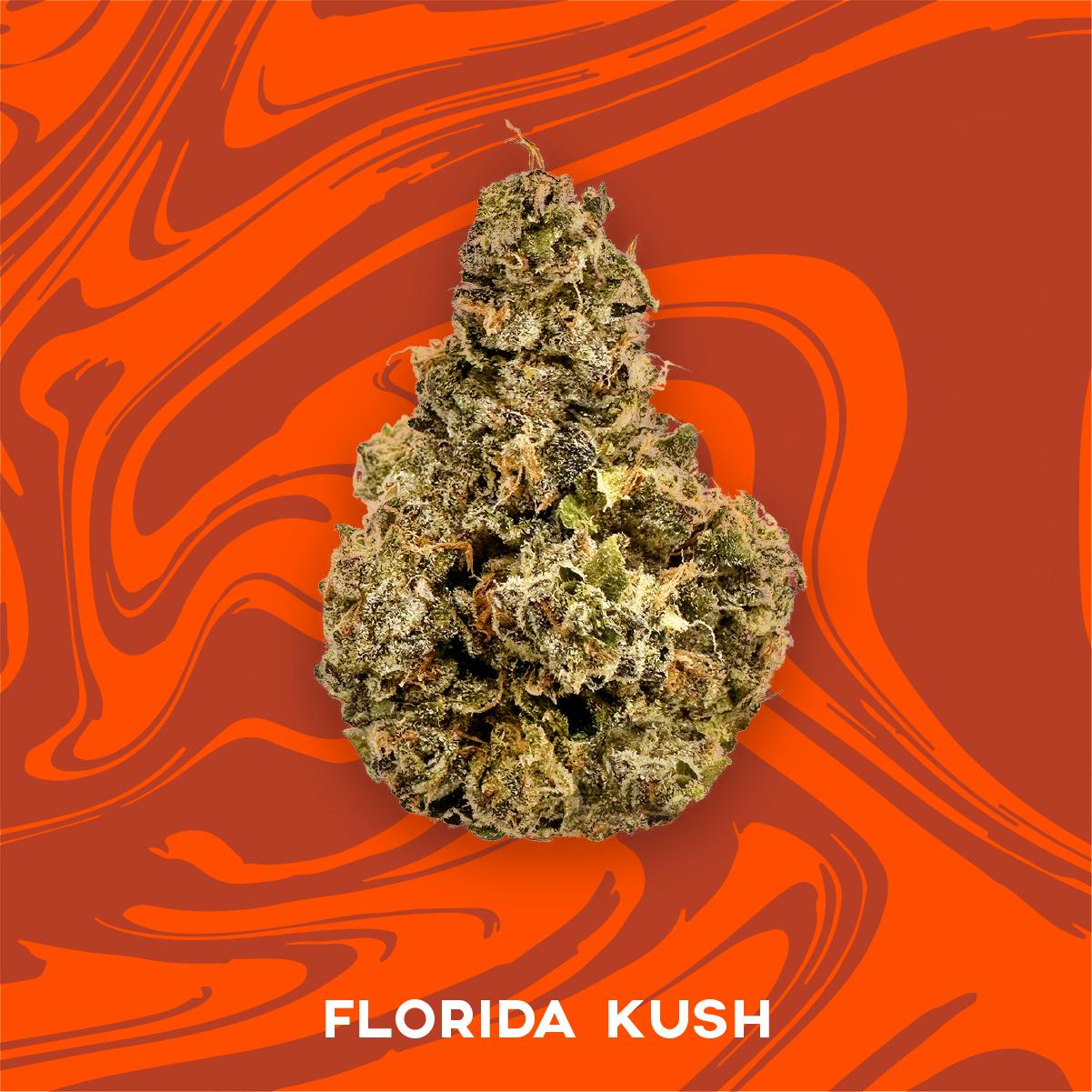 Florida Kush 3.5g - 50/50 Hybrid - Vivid