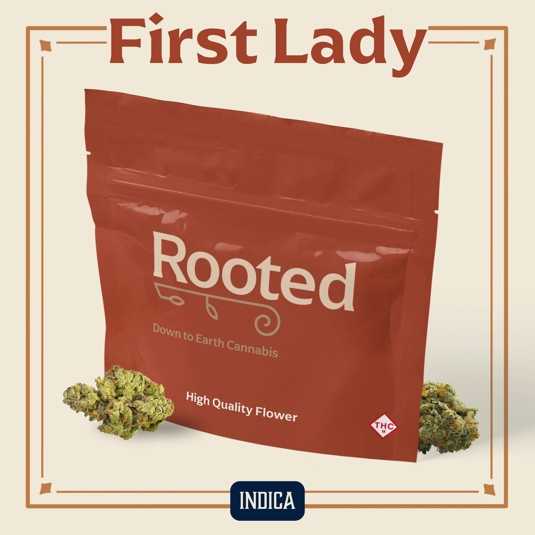 Rooted: Flower | First Lady