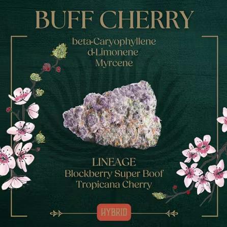 Peak: Flower | Buff Cherry