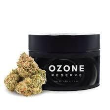 Golden Cream