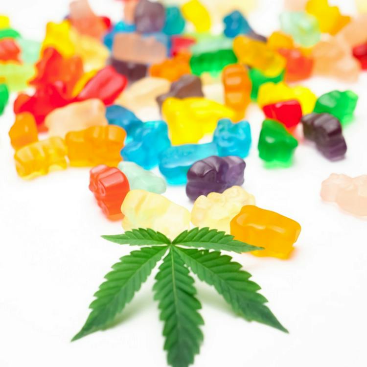 Watermelon Lifted Lemonade Happy Fruit Gummies