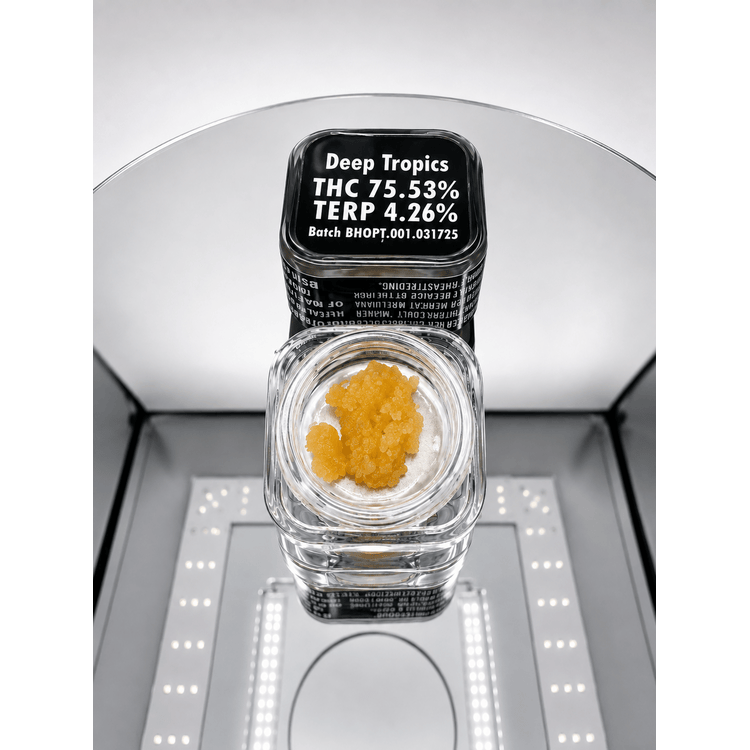 Divine Deep Tropics BHO 2g