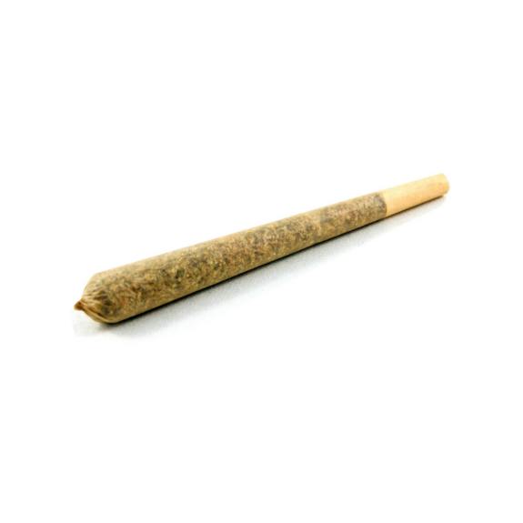 Bad Duck 1g THCA Pre Roll Granddaddy Purple