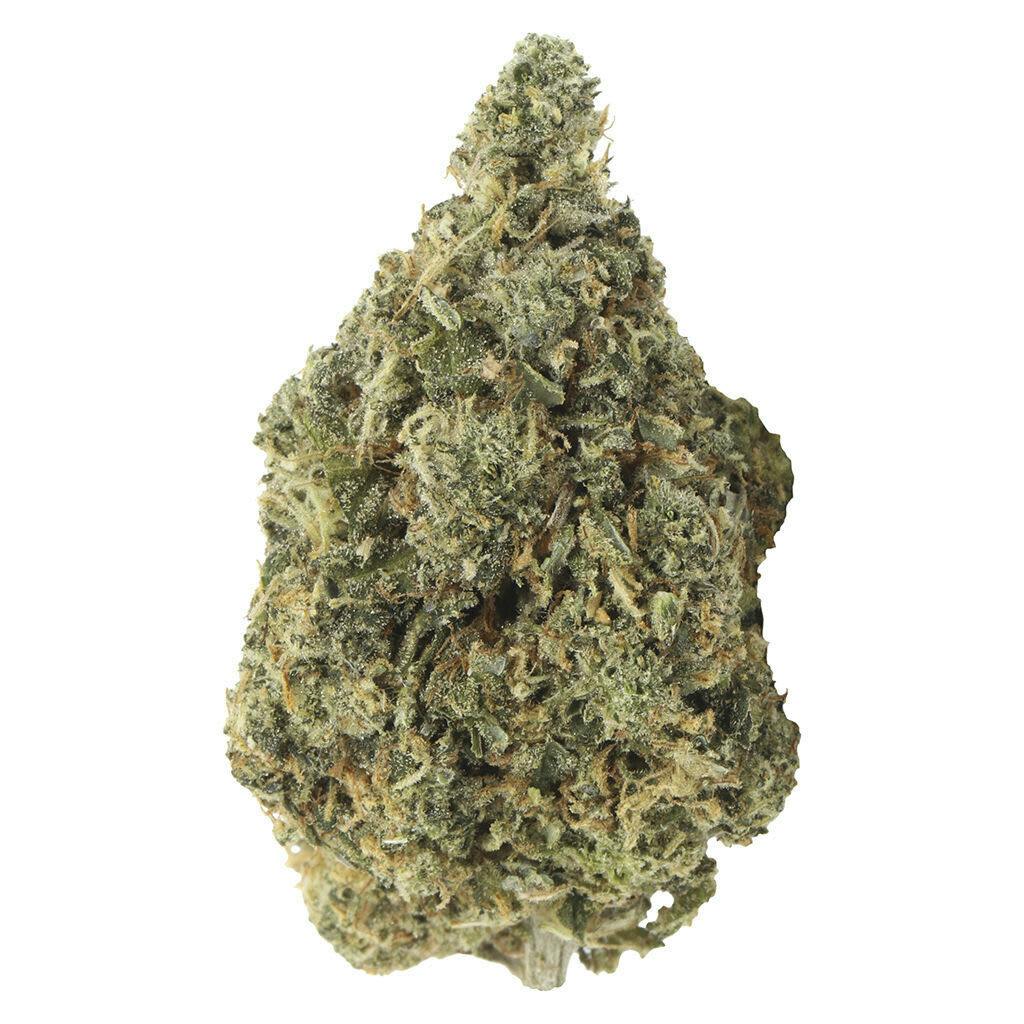 Carmel - Bubblegum Marker 14g Dried Flower