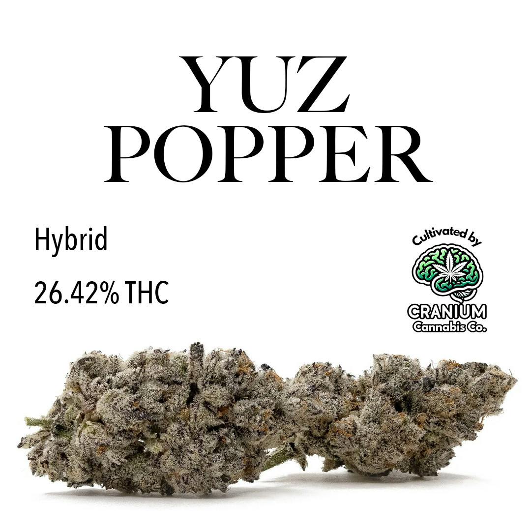 3.5g Yuz Popper