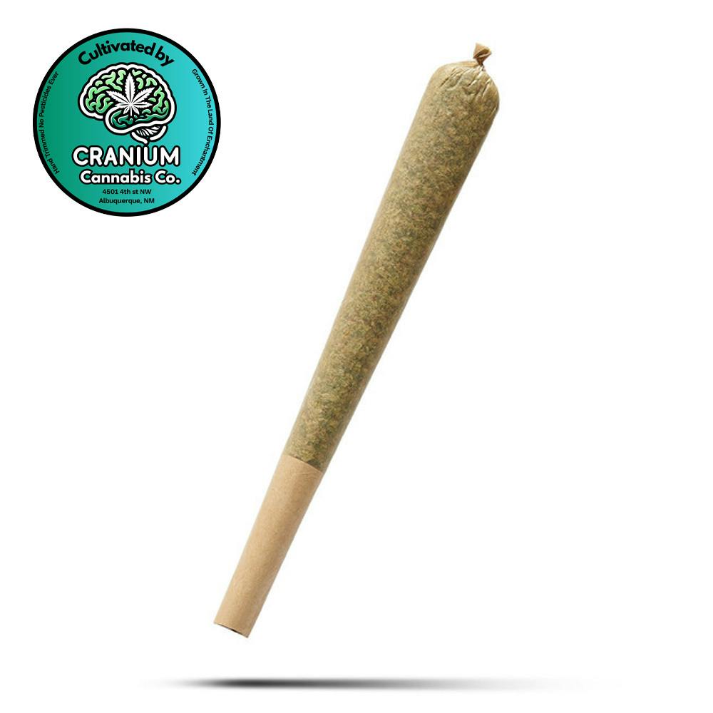Durban Julip