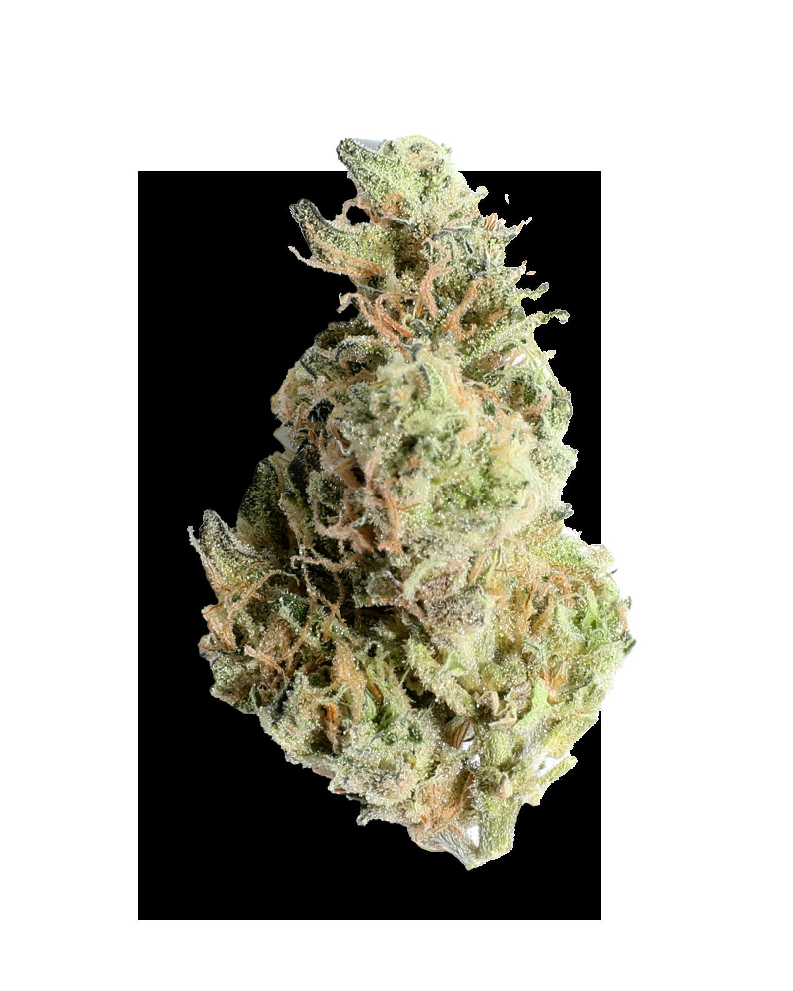 GUSH MINTS 3.5G