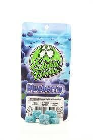 Blueberry Gummies 10 Pack