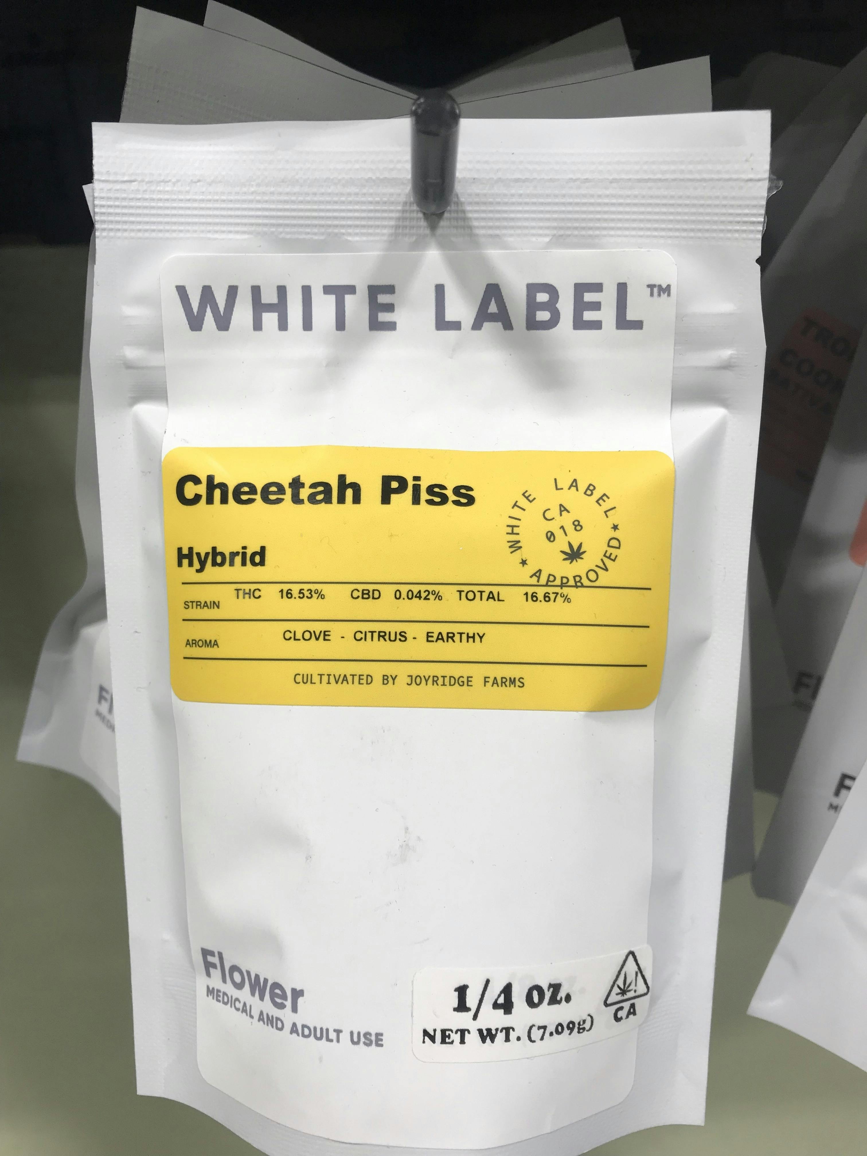 White Label Cheetah Piss