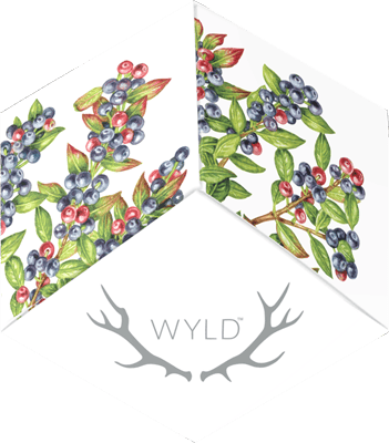 WYLD - Huckleberry Gummies - 10 pack