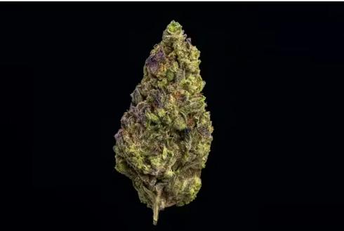 Farmer and the Felon | Flower Papaya Kush Jar 1oz