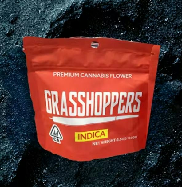 Grasshoppers Flower Indica