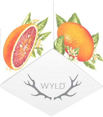 WYLD - Blood Orange Gummies - 1:1 THC:CBC - 10 Pack