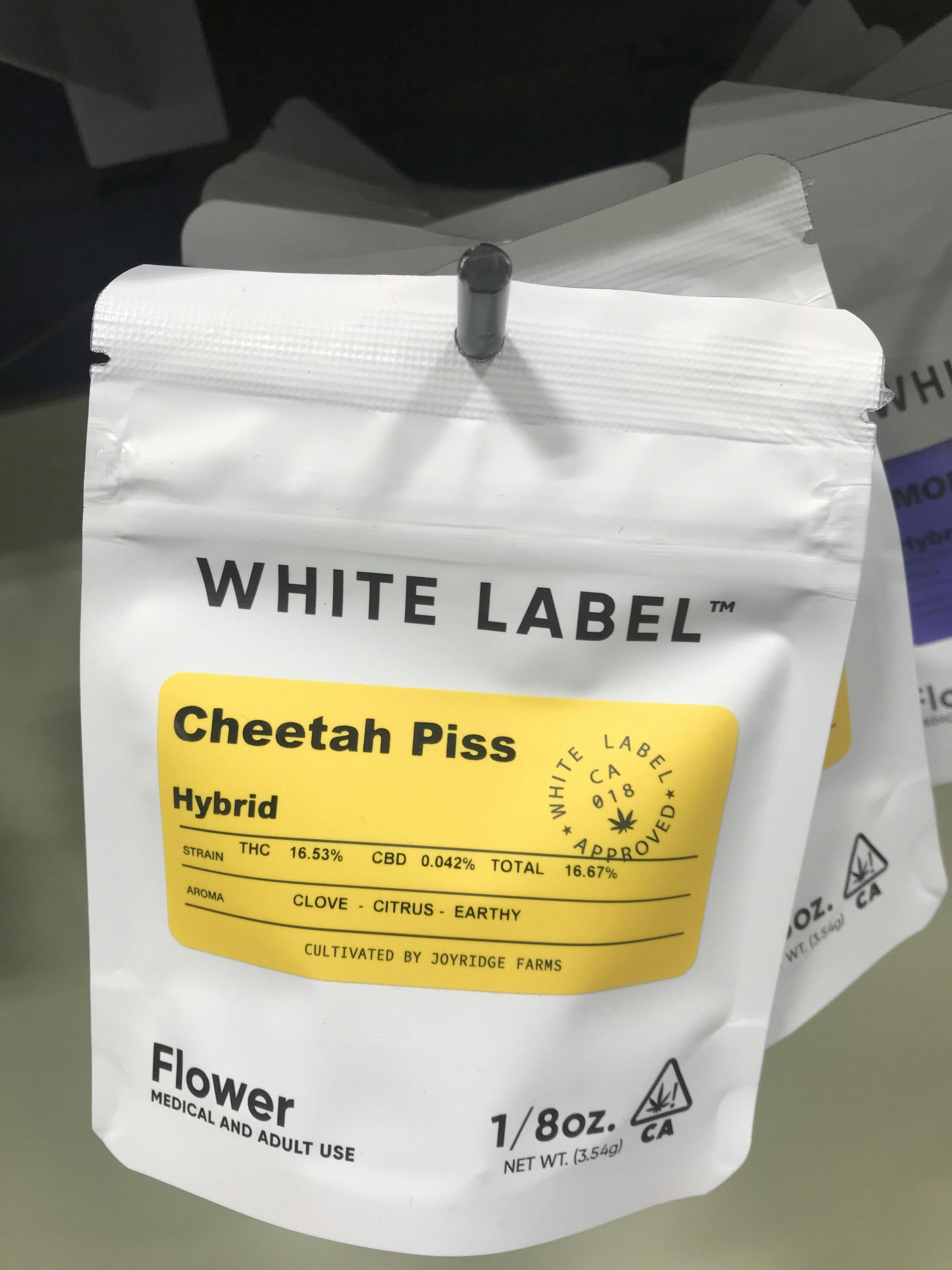 White Label | Cheetah Piss | 3.5g at Westwood Cannabis Stop