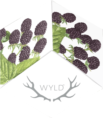 Marionberry