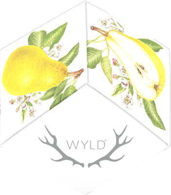 WYLD - Pear Gummies - 1:1 CBG:THC - 10 Pack