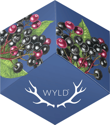 WYLD - Elderberry Gummies 2:1 THC:CBN - 10 Pack
