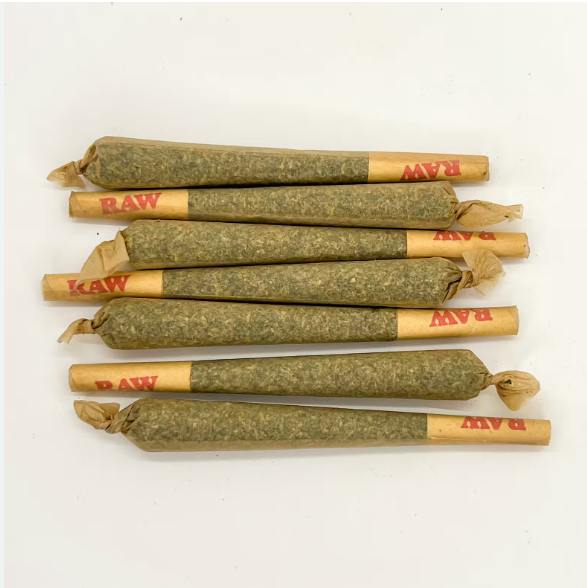 Northern Lights Cc