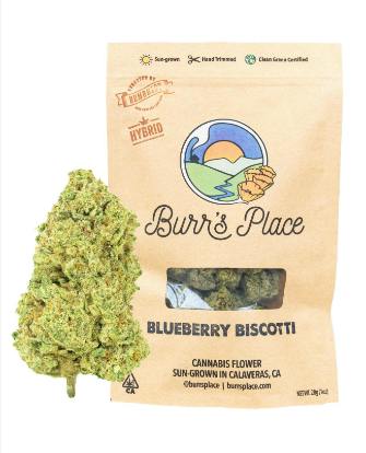 Blueberry Biscotti - 28g Bag