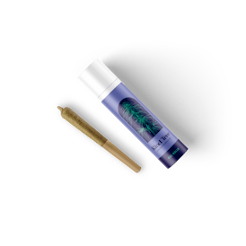 Kind Tree - Mango Mindset - 2pk Pre Roll - 1g