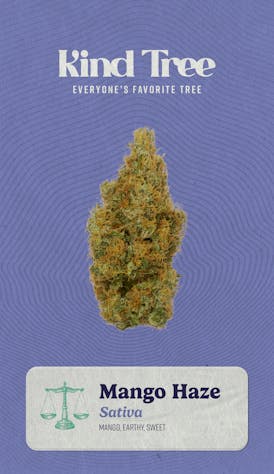 Kind Tree - Mango Haze - 3.5g