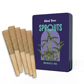 Kind Tree - Dirty Taxi - Sprouts - 5pk - 1.75g