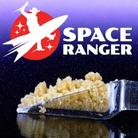 Space Ranger - Tropical Teleport x Heir Heads - Crumble - 1g