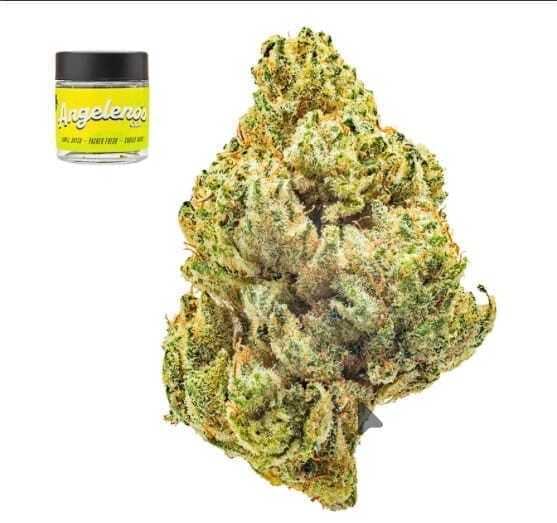 Angelenos Cult: Gorilla Glue #4