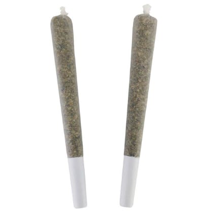 Wedding Singer Pre Rolls - Indica - 2x1g