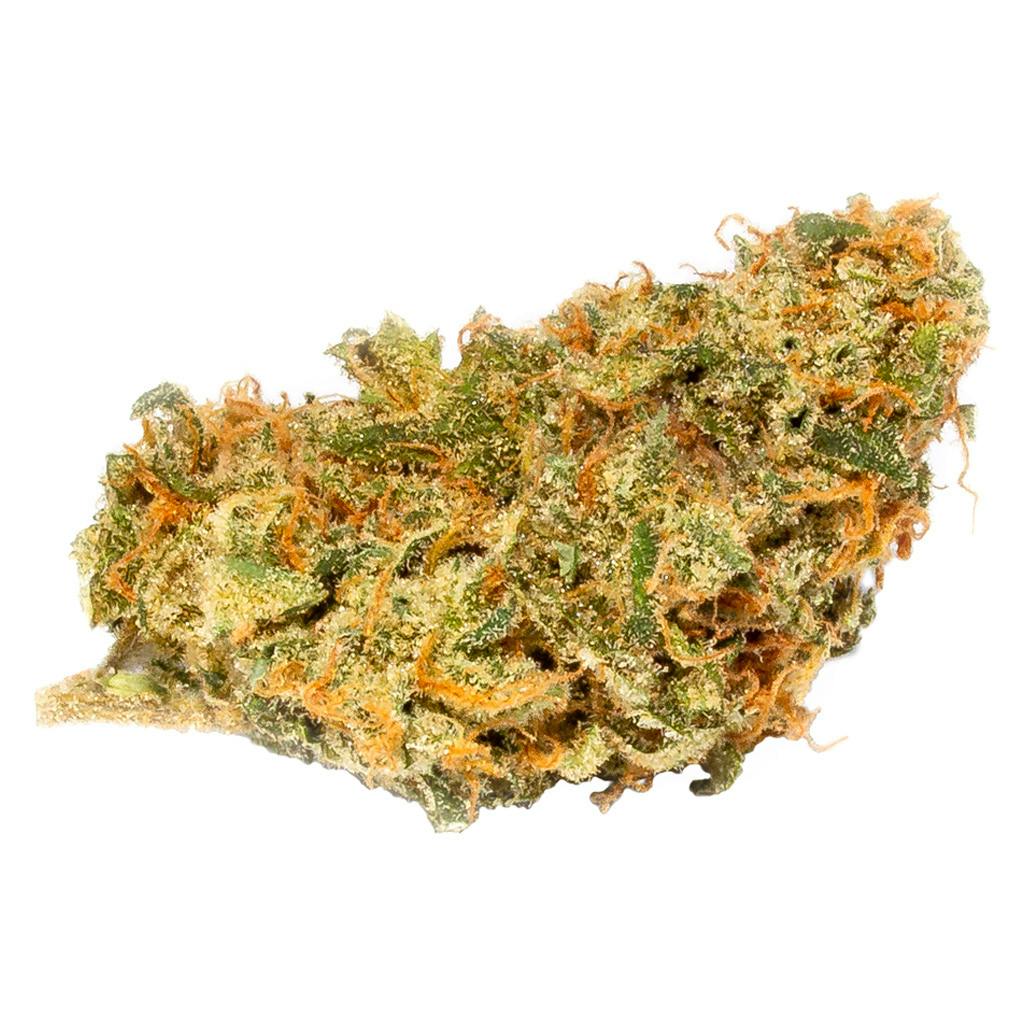 Vertical Cannabis - Sherbert Glue - 3.5g