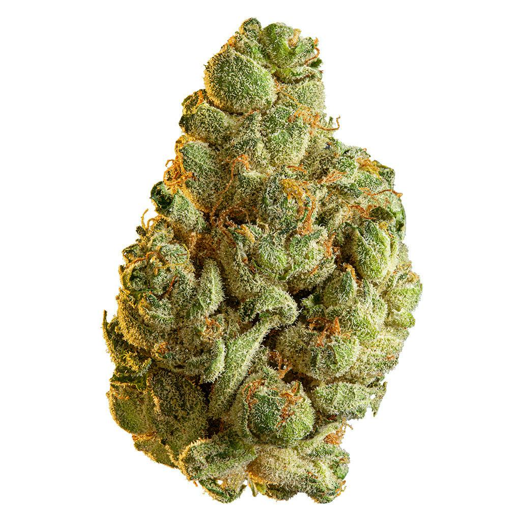 Edison Cannabis Co - Space Cake - 14g
