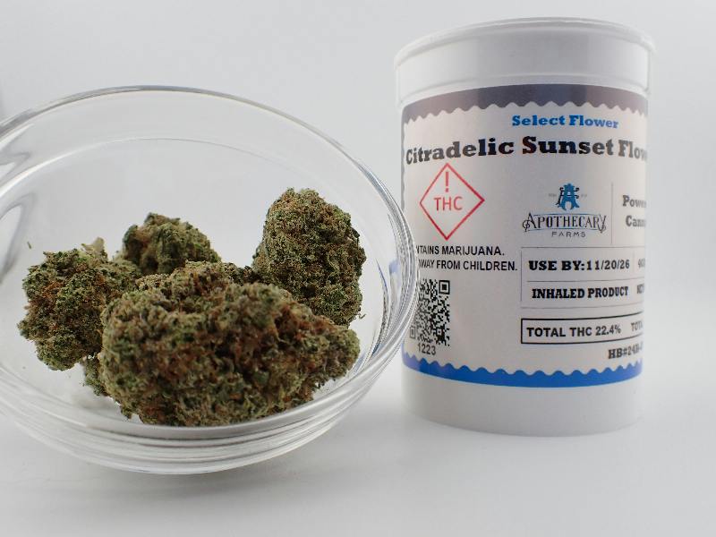 Citradelic Sunset Select Flower - S 7G
