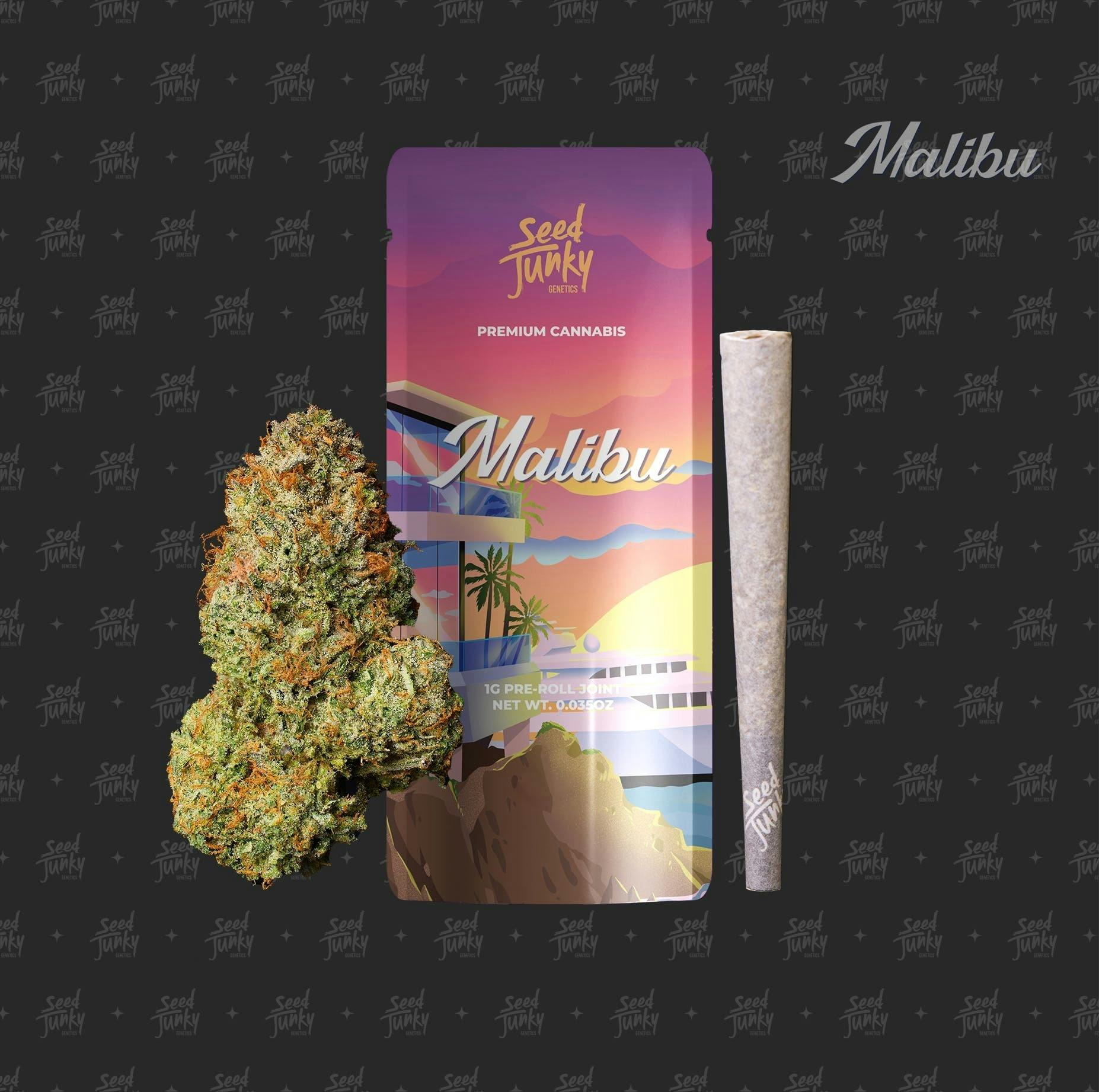 Seed Junky - Malibu 1G Pre-roll