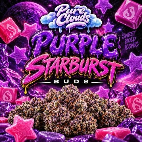Pure Clouds - Purple Starburst - Buds