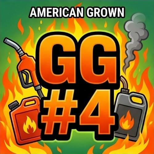 American Grown - GG #4 - Buds