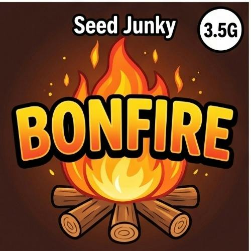Seed Junky - Bonfire