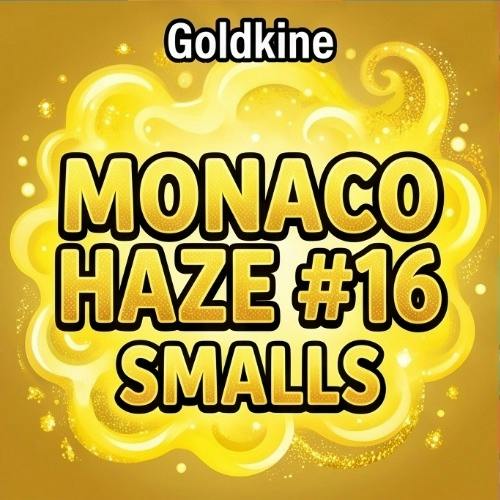 Goldkine - Monaco Haze #16 Smalls - Buds