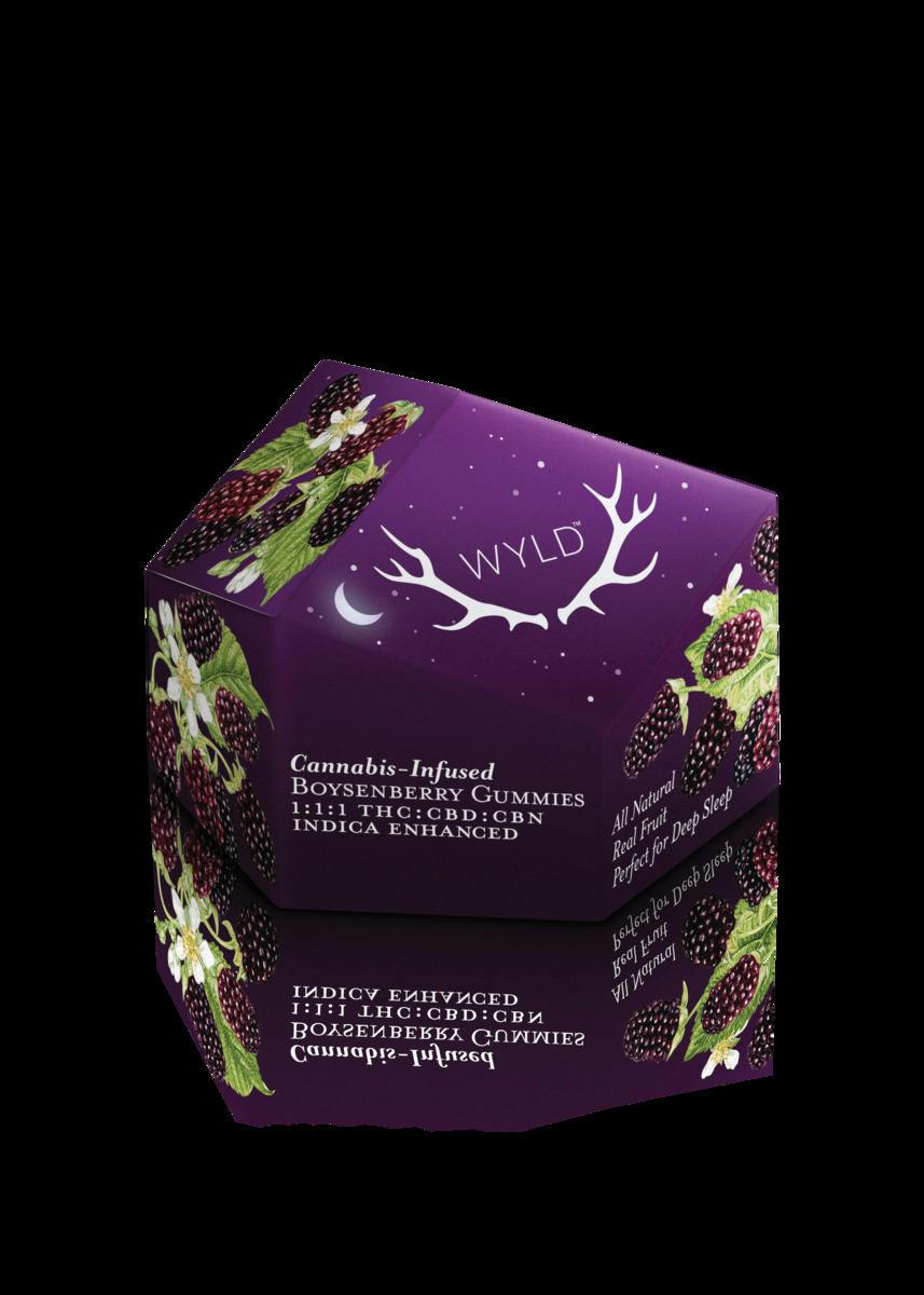 Wyld: Gummies 100mg - Boysenberry