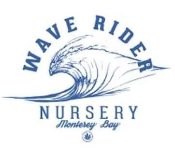 Lemon Barz 1.2g Rosin Infused